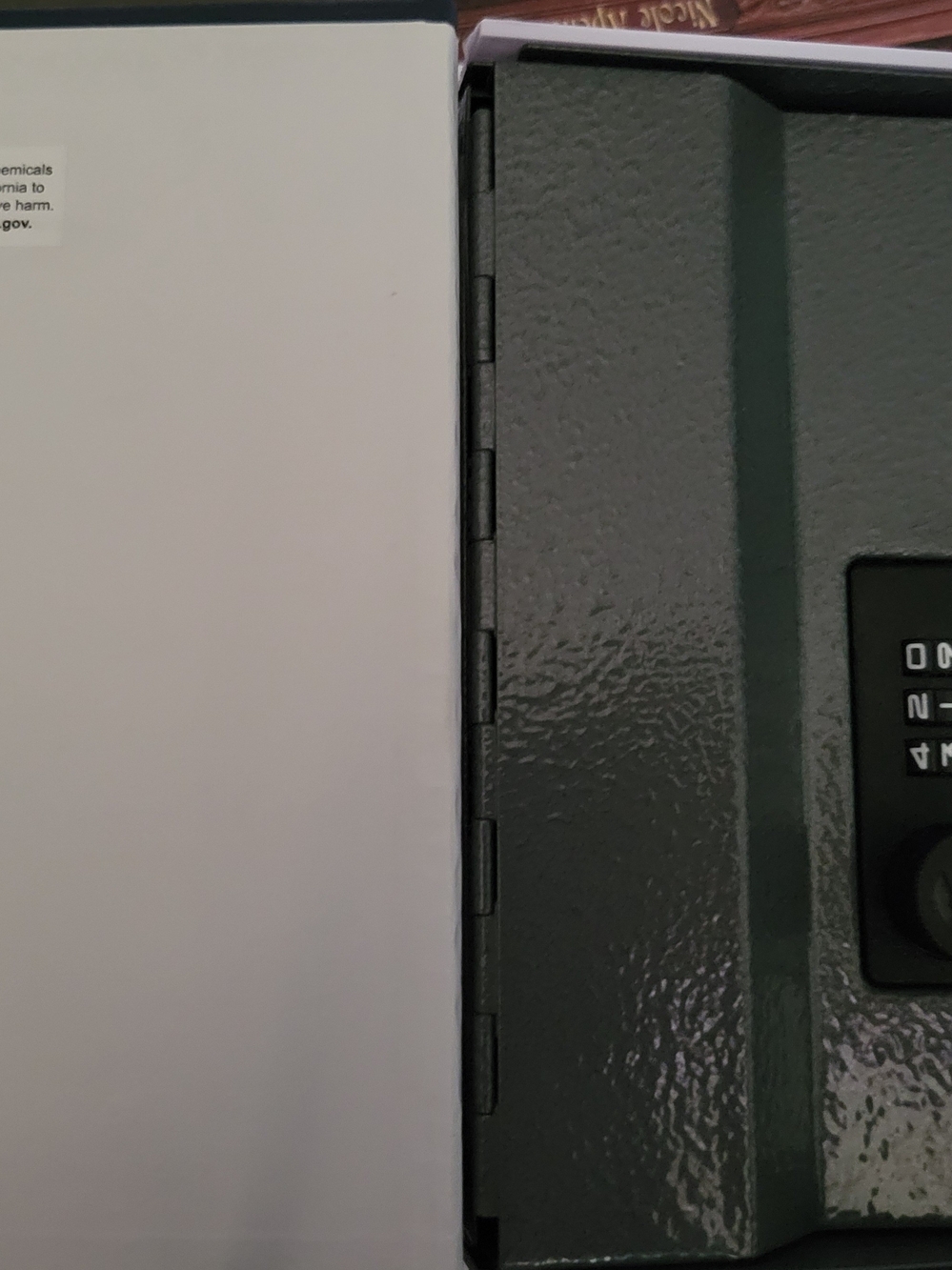 Lockbox- New English Dictionary - Picture 2 of 3